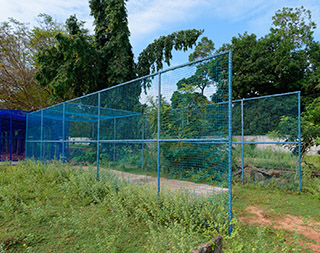 News Image 1