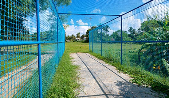 News Image 5